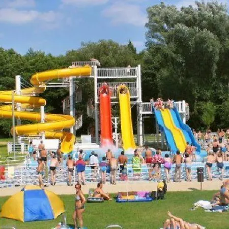 Cedar 2 * زلاكاروس